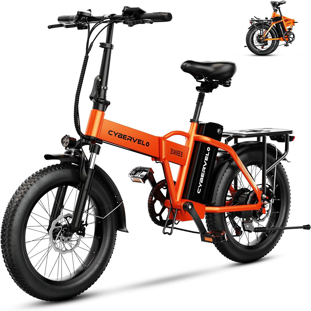 1000W, 48V 20AH Large Removable Battery E Bike